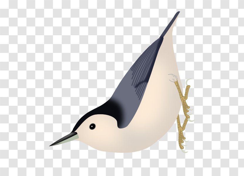 Duck Bird Algerian Nuthatch Eurasian Transparent PNG