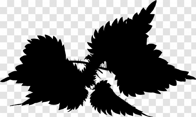 Font Silhouette Beak Sky - Plant - Wing Transparent PNG