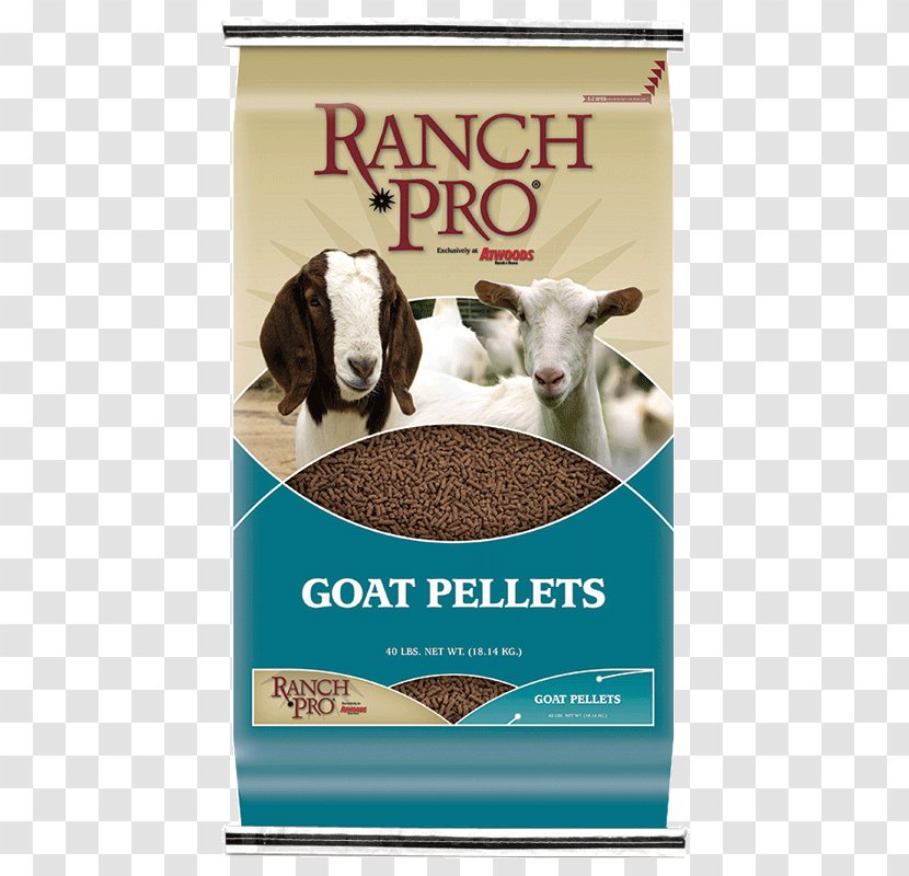 Hutch Cattle Pig Animal Feed Pen - Goats - Goat Eat Transparent PNG