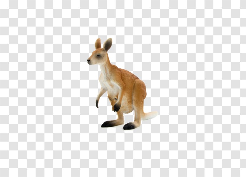 Macropods Red Kangaroo Stuffed Animals & Cuddly Toys - Dog Like Mammal Transparent PNG