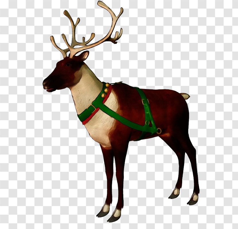 Reindeer - Watercolor - Sticker Horn Transparent PNG