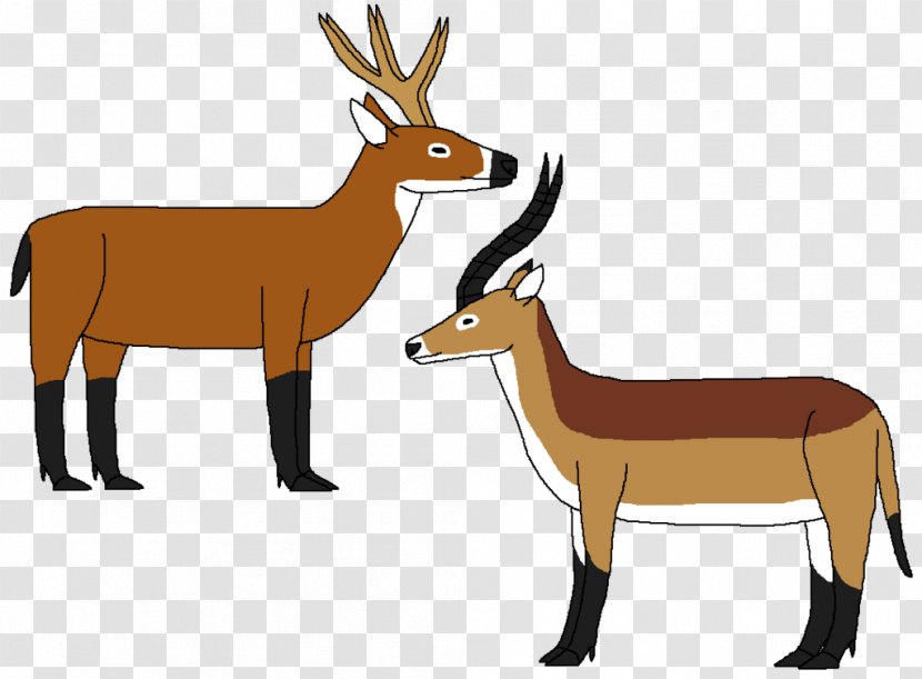 Antelope Ungulate Musk Deer Reindeer Elk - Art Transparent PNG