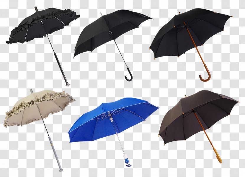 Umbrella Cartoon - Public Domain - Fashion Accessory Leaf Transparent PNG