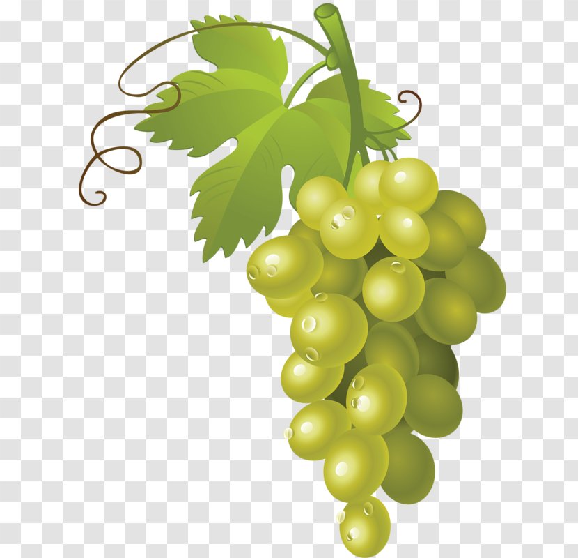 Common Grape Vine Wine Clip Art - Food - A Bunch Of Grapes Transparent PNG