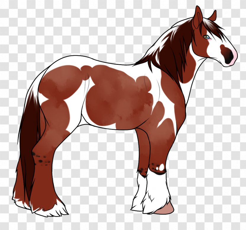 Foal Mane Stallion Mare Colt - Tail - Mustang Transparent PNG