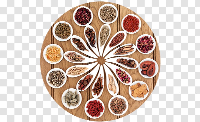 Traditional Chinese Medicine Herbology Herbalism Acupuncture - Tui Na - Naturopathy Transparent PNG