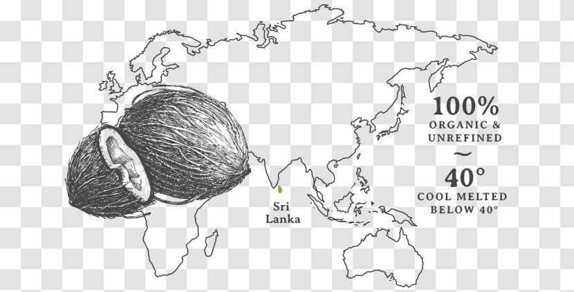 World Map Globe Mapa Polityczna - Watercolor Transparent PNG