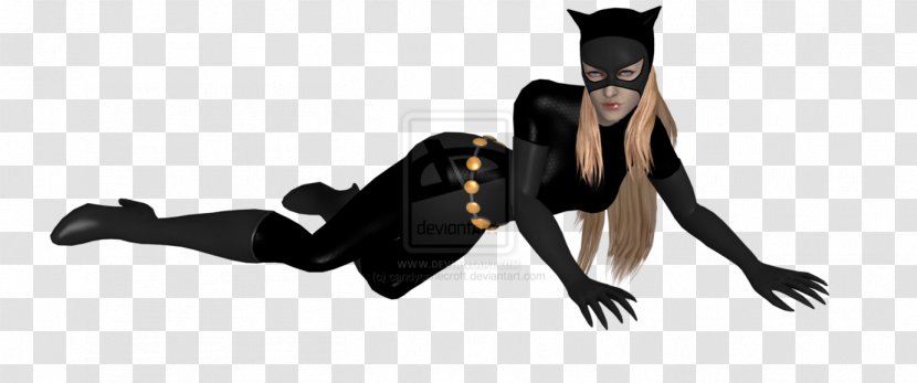 Catwoman Batman: Arkham City Harley Quinn Knight - Photography Transparent PNG