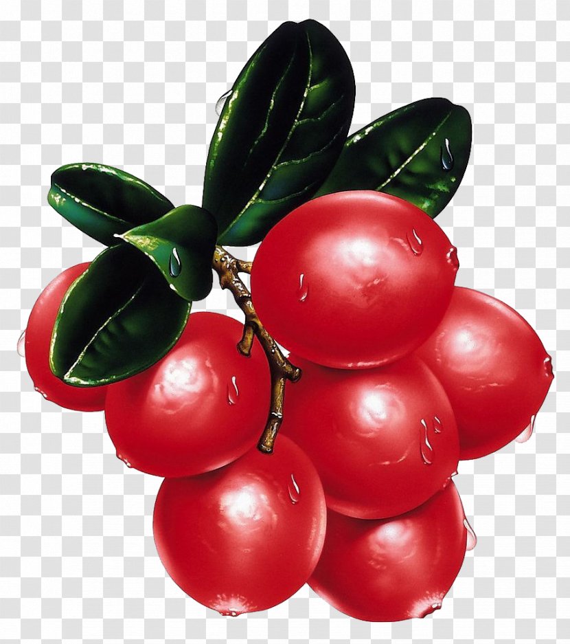 Fruit - Berry - Tomatoes, Fruits And Vegetables Transparent PNG