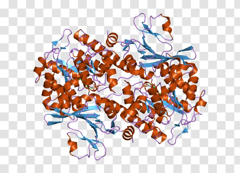 Nicotinamide Phosphoribosyltransferase Art Pre-B-cell Colony Enhancing Factor 1 Enzyme - Cosmetics - Perfume Transparent PNG