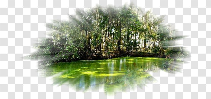 Business Idea Afacere Water Resources Urban-type Settlement - Love - Watercolour Nature Transparent PNG