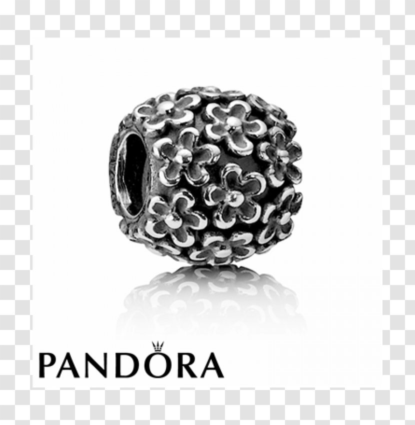 Pandora Charm Bracelet Flower Silver Jewellery - Jewelry Making Transparent PNG
