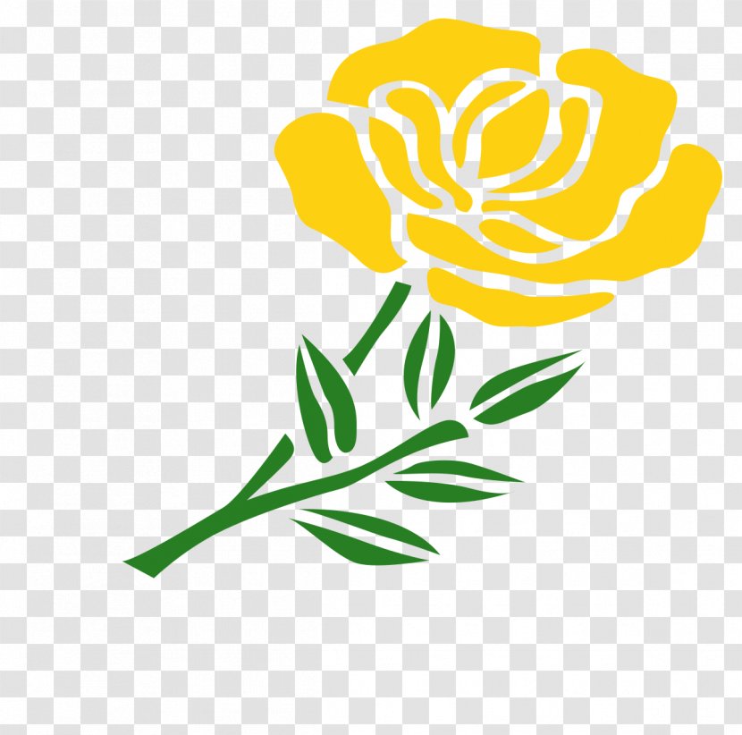 Melrose RFC Rugby World Cup Sevens Union - Plant - Cut Flowers Transparent PNG