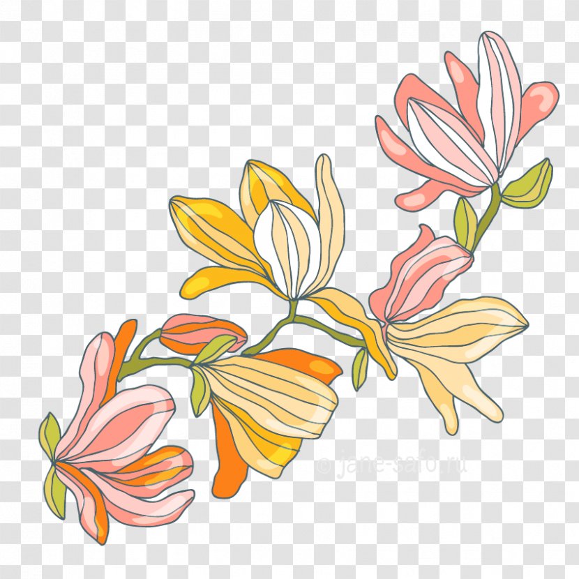 Flower Floral Design Clip Art - Lilium - Various Clipart Transparent PNG