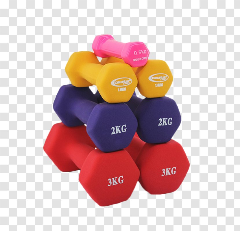 Dumbbell Barbell Exercise Equipment Weight Training Physical - Fitness Centre Transparent PNG