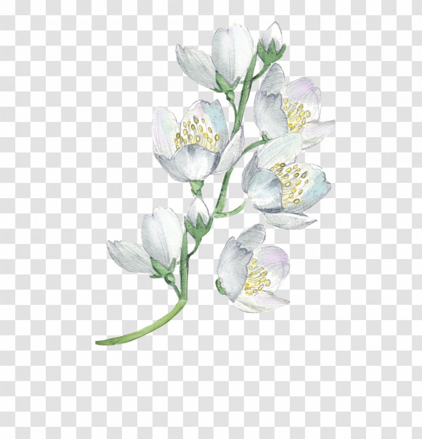 Watercolor Painting Flower Floral Design Illustration - Floristry - Flowers Transparent PNG