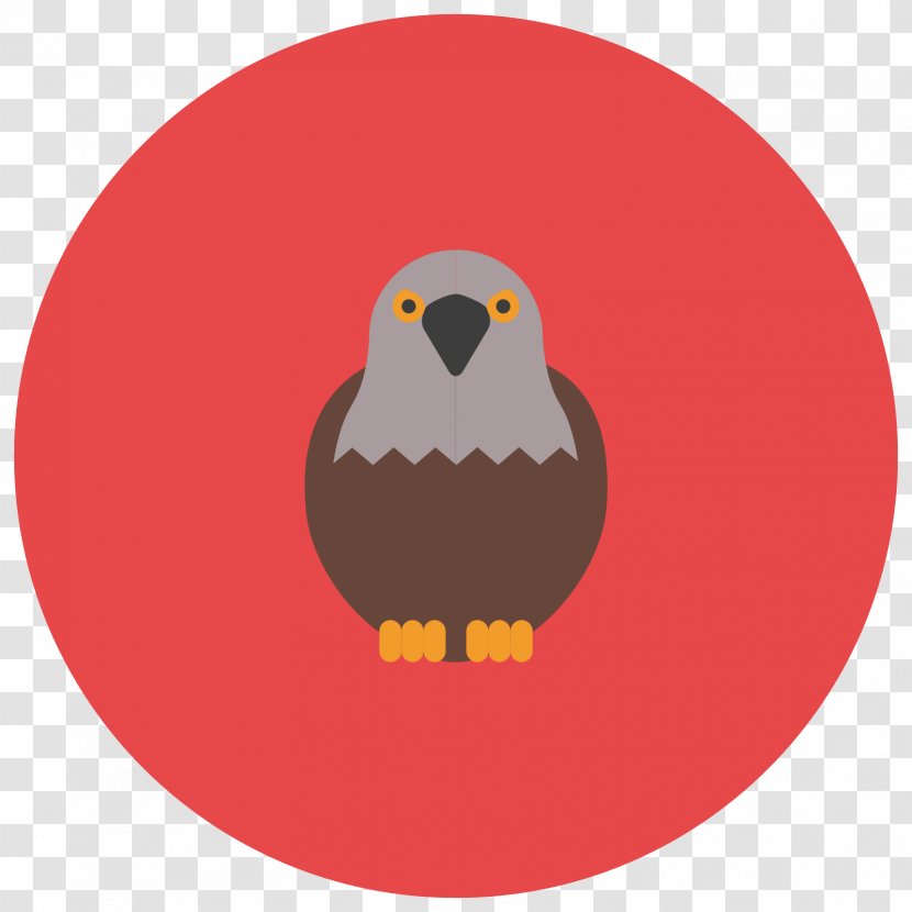 Wild Boar Illustration Adobe Photoshop - Bird - Falconry Icon Transparent PNG