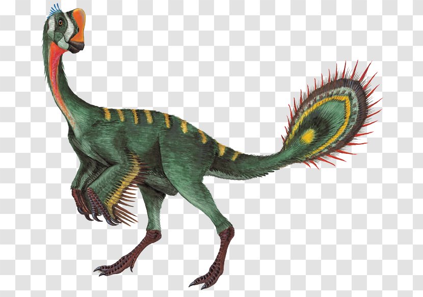 Nomingia Oviraptor Gigantoraptor Chirostenotes Conchoraptor - Terrestrial Animal - Dinosaur King Transparent PNG