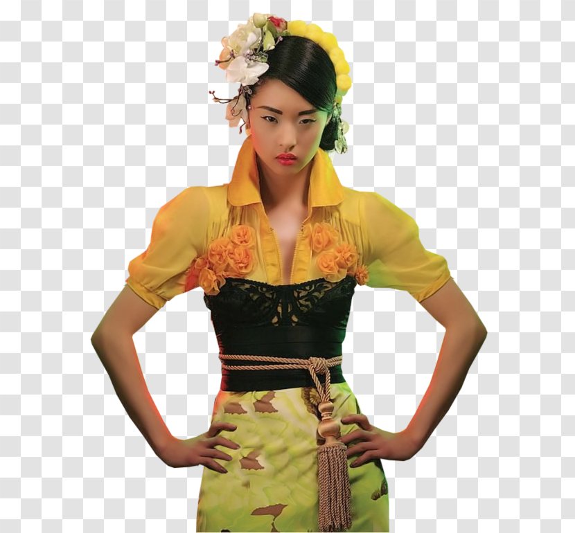 Woman Female Uchikake - Oriental Transparent PNG