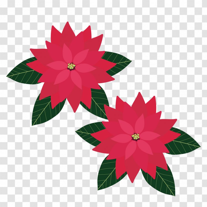 Floral Design Christmas Day Illustration Poinsettia - Dahlia Transparent PNG