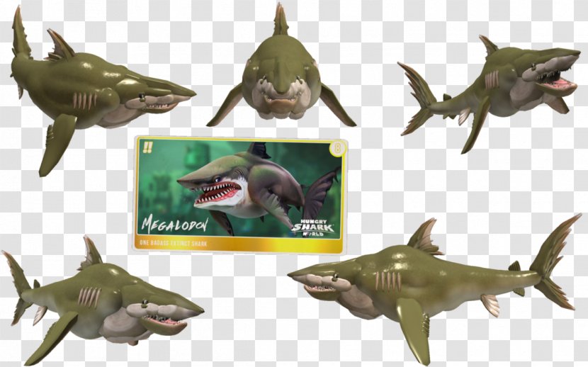 Hungry Shark World Evolution Megalodon Great White - Fish Transparent PNG