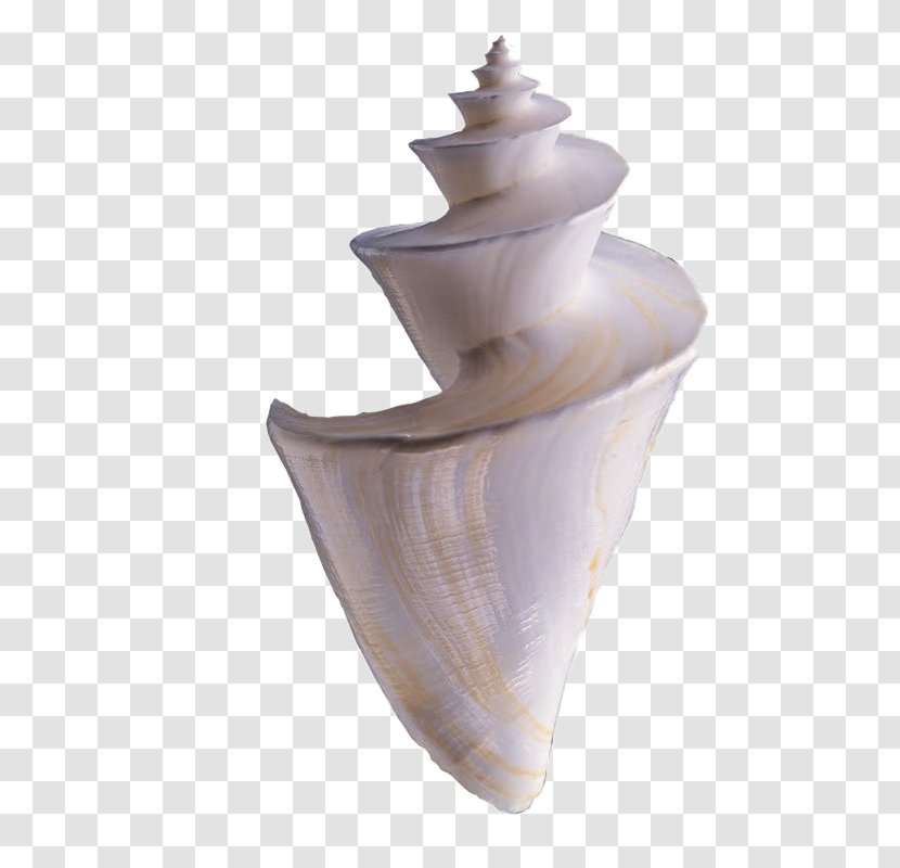 Seashell Seafood Sea Snail - Ceramic - Screw Transparent PNG
