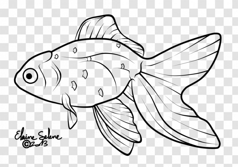 Line Art Oranda Drawing Koi Clip - Common Carp - Fish Transparent PNG
