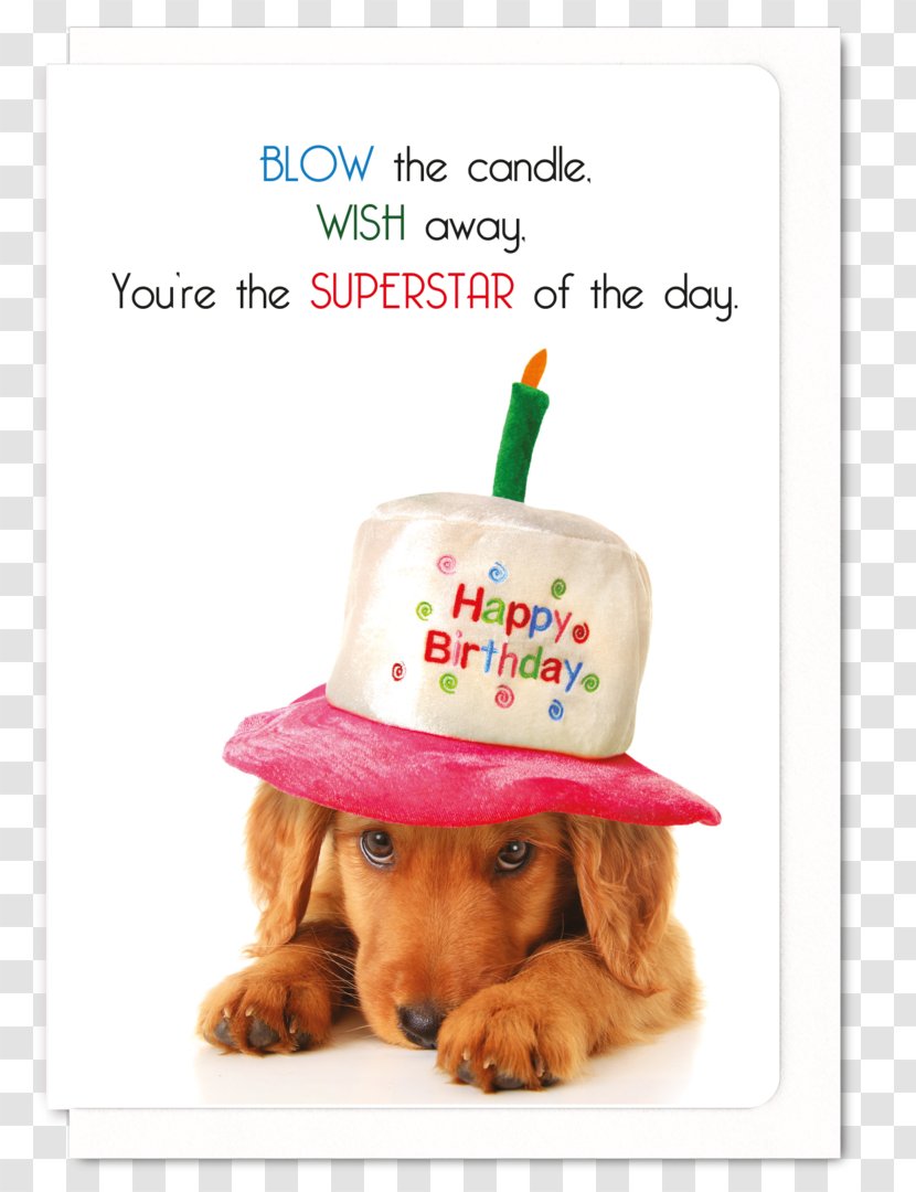 Dachshund Birthday Cake Puppy Golden Retriever - Dog Like Mammal Transparent PNG
