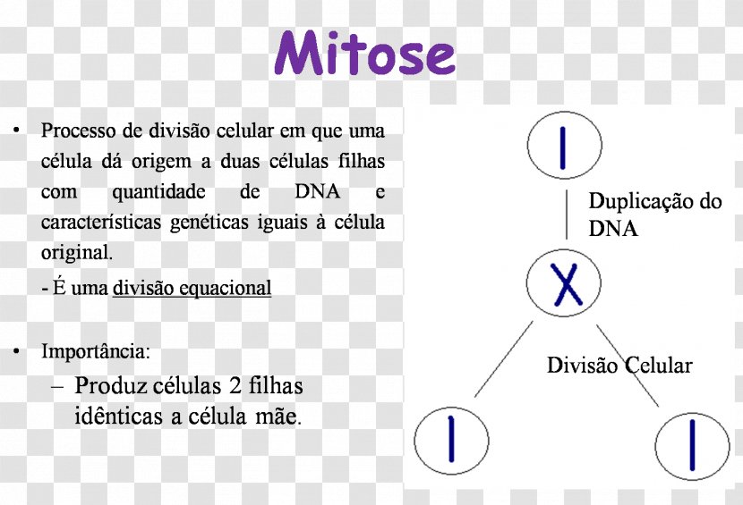 MSP Batna Document Text Computer Program Transparent PNG