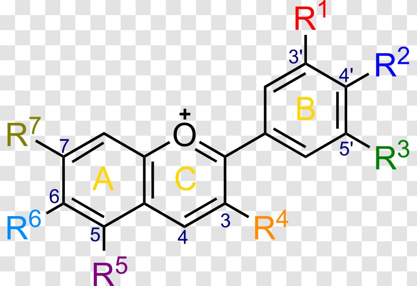 Ether Scutellarein Chemical Compound Metacresol Purple Organic - Substance Transparent PNG