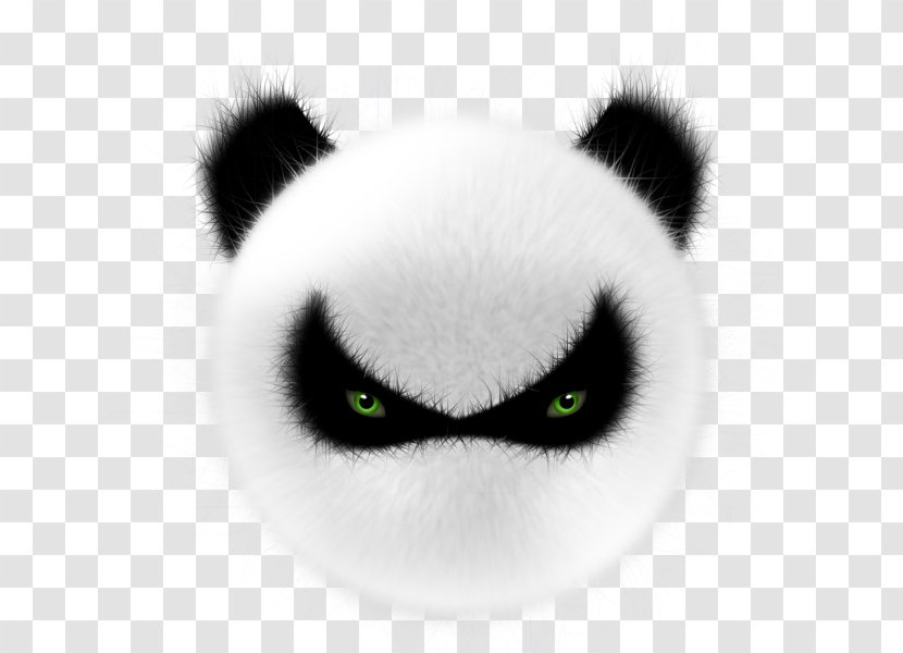Giant Panda Animation Illustration - Angry Transparent PNG