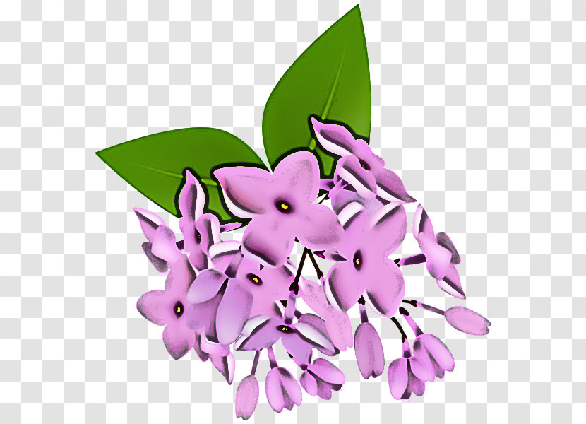 Lilac Flower Violet Purple Plant Transparent PNG