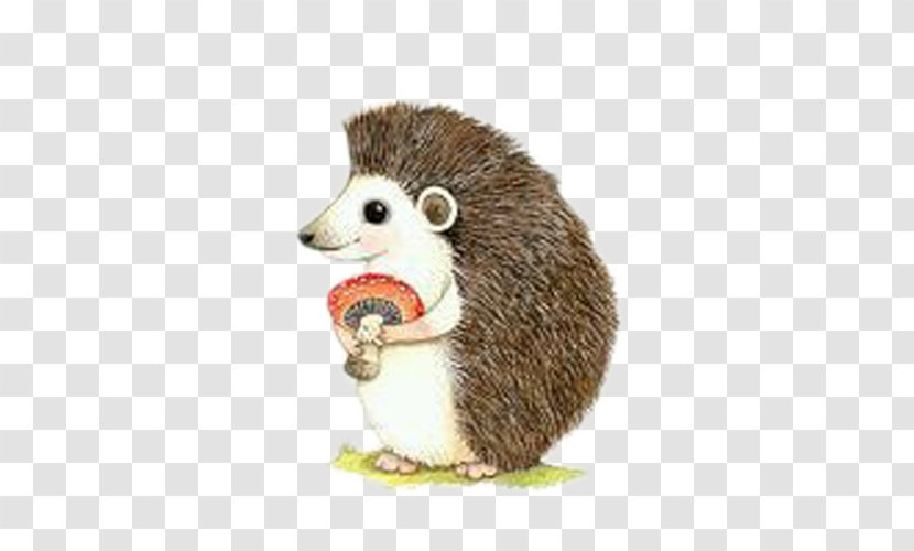 Hans My Hedgehog Paper Watercolor Painting Drawing - Art - Painted Hold Mushrooms Transparent PNG