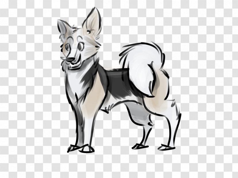 Dog Breed Red Fox Line Art Drawing Transparent PNG