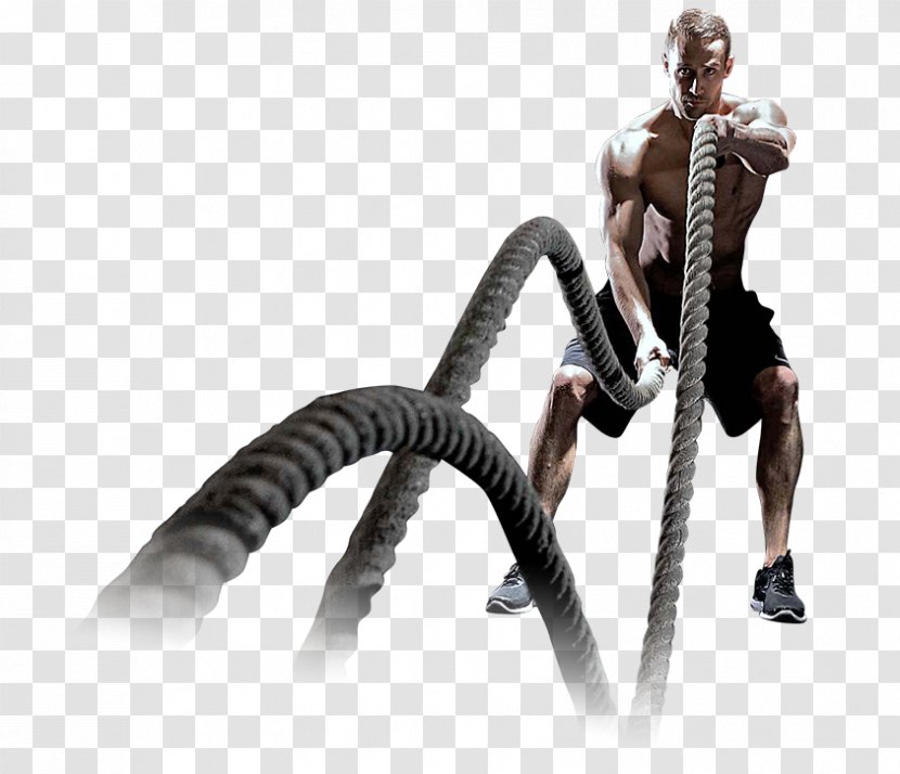 Fitness Centre Training Athlete CrossFit - Physical Transparent PNG
