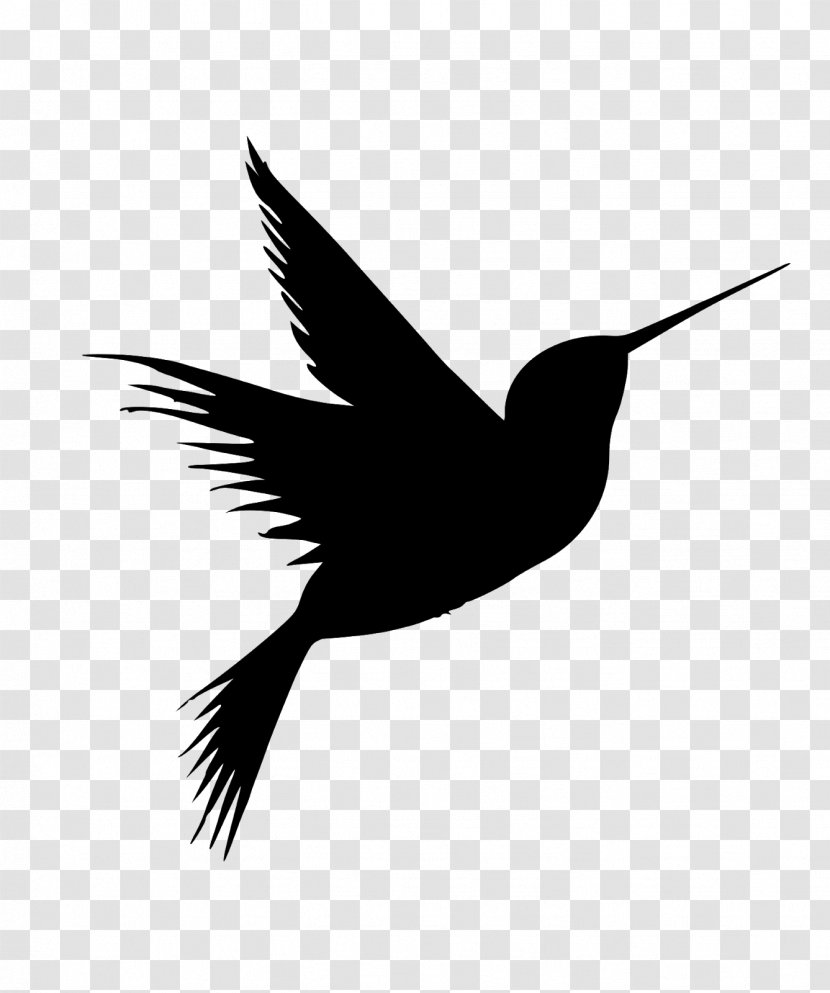 Hummingbird Tattoo - Bird - Perching Feather Transparent PNG