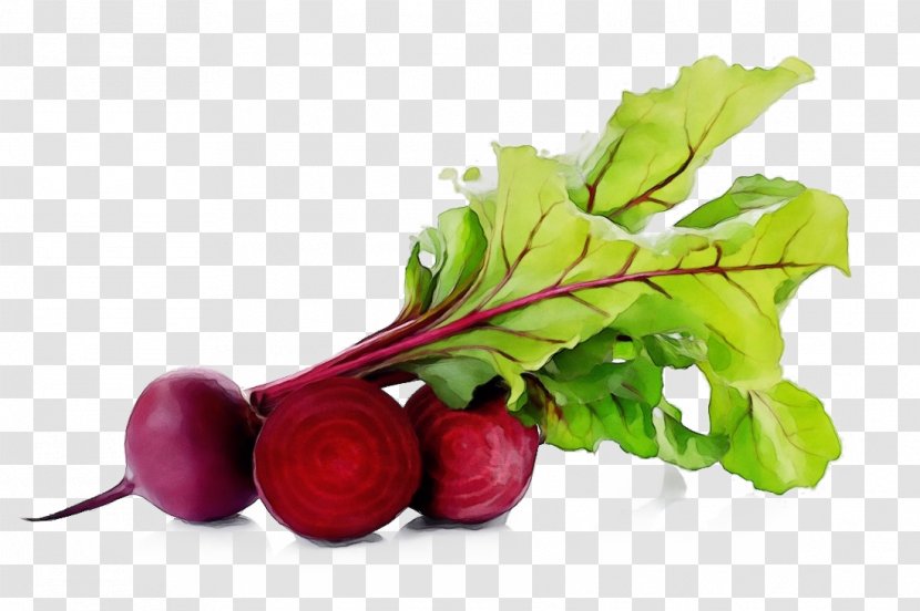 Plant Leaf - Root Vegetable Superfood Transparent PNG