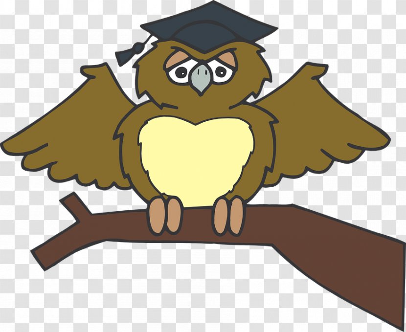 Graduation Ceremony Owl Clip Art - Cartoon Transparent PNG