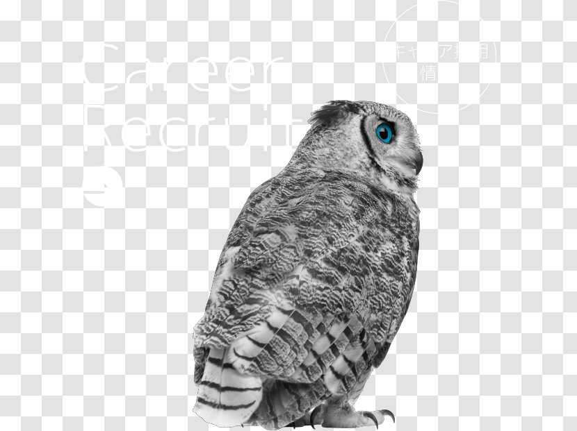 Great Grey Owl Horned Stock Photography Eurasian Eagle-owl - Organism Transparent PNG