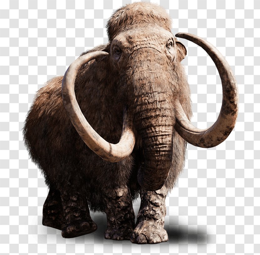 Far Cry Primal 5 Woolly Mammoth PlayStation 4 - Terrestrial Animal Transparent PNG