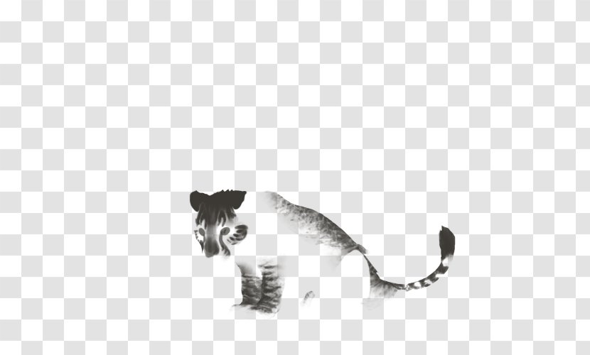 Kitten Whiskers Big Cat - Tail Transparent PNG