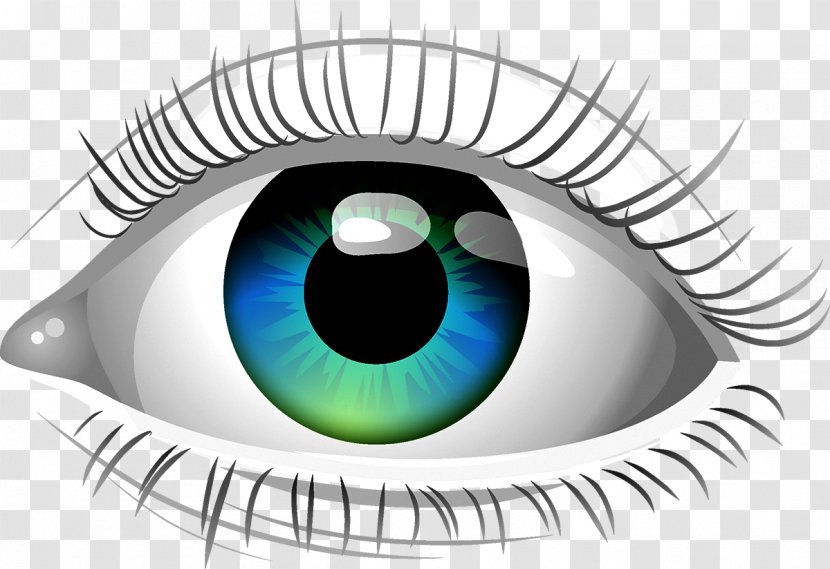 Human Eye Clip Art - Silhouette Transparent PNG