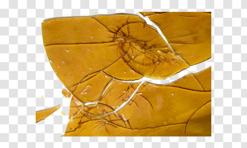 Hash Oil Medical Cannabis Shatter Cannabidiol - Insect - Wax Transparent PNG