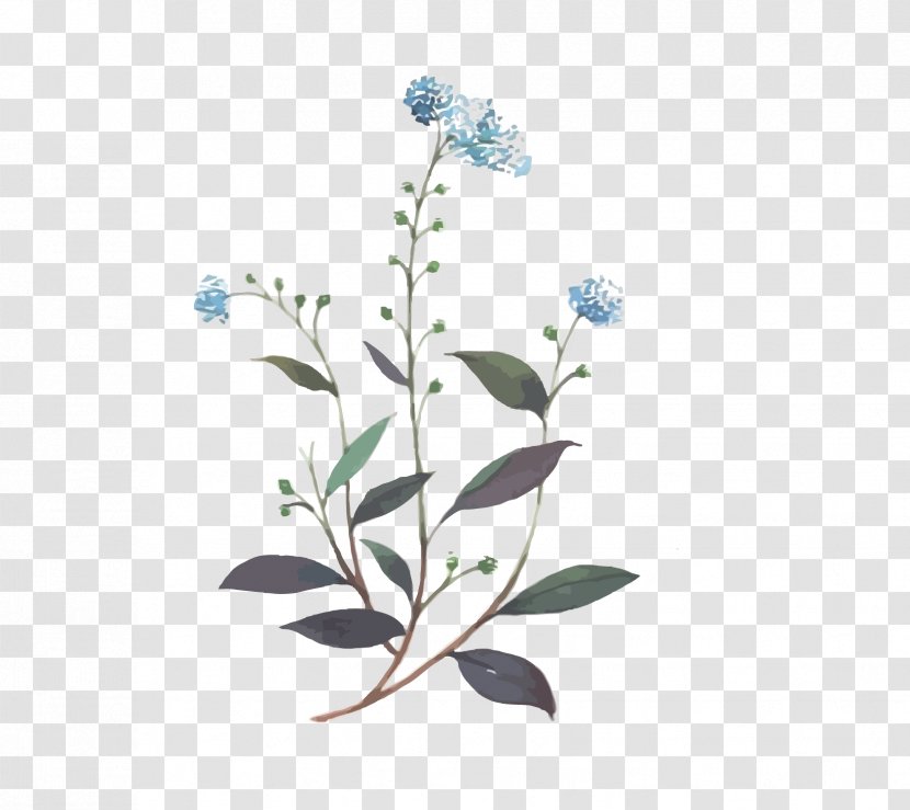 Blue Flower - Petal - Vector Floral Transparent PNG