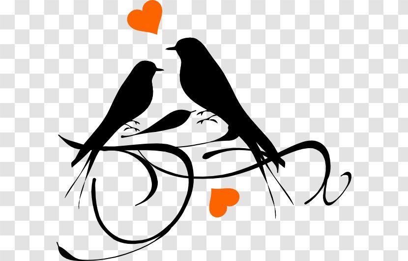 Lovebird Clip Art - Document - Bird Transparent PNG