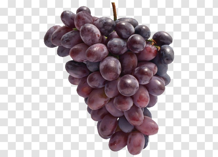 Sultana Common Grape Vine Wine - Vitis Transparent PNG