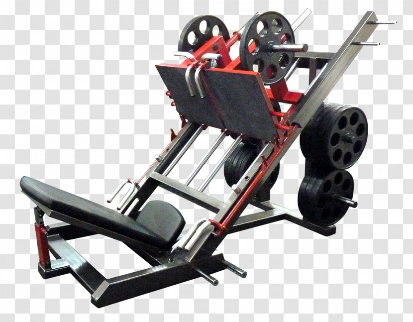 Fitness Oborudvane Ivan Weightlifting Machine Price - Asen Ii Of Bulgaria Transparent PNG