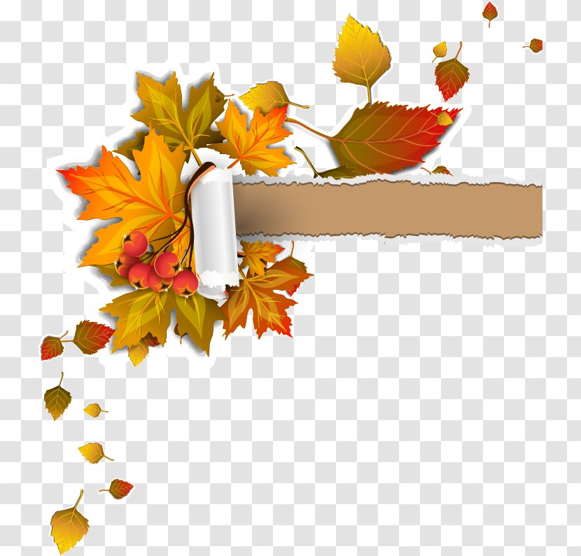 Paper Icon - Tiff - Autumn Leaves Frame Maple Tear Vector Transparent PNG