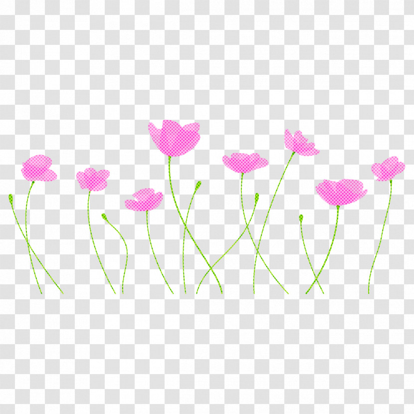 Poppy Flower Transparent PNG