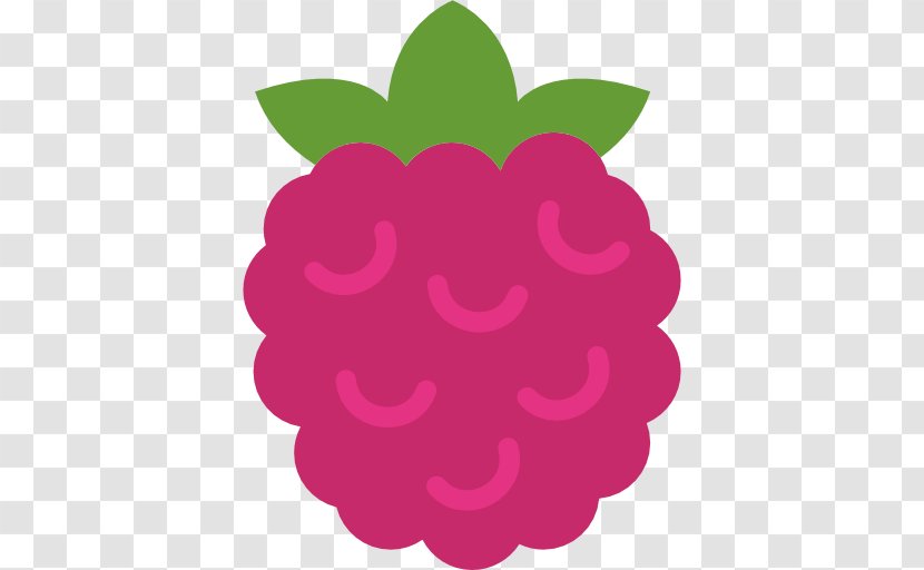 Raspberry Pi Food Transparent PNG